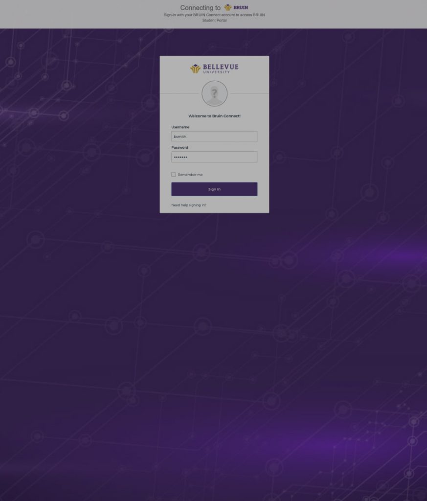 BRUIN Support Hompage